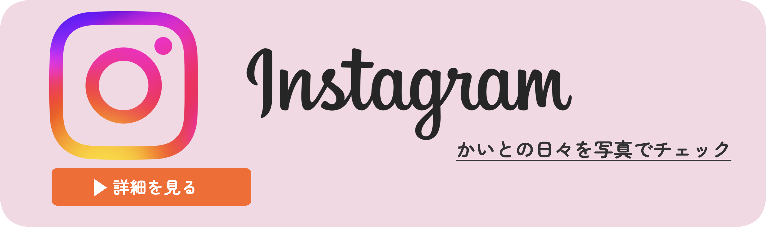 インスタグラム