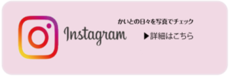 インスタグラム